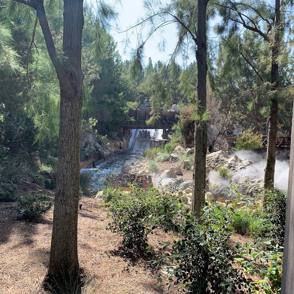 Meet your Posher, Sam - Picture 1 of 1